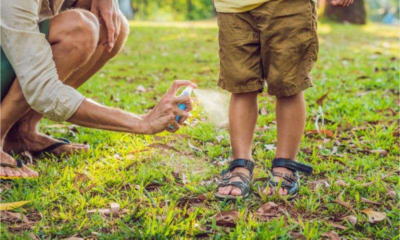 Main Content Intro Image