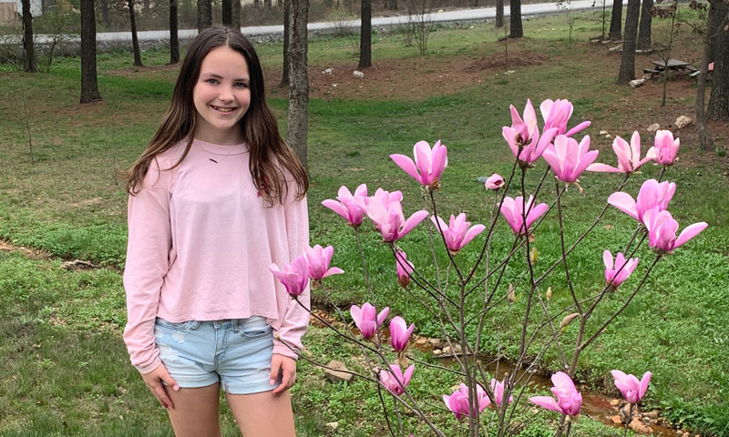 Main Content Intro Image