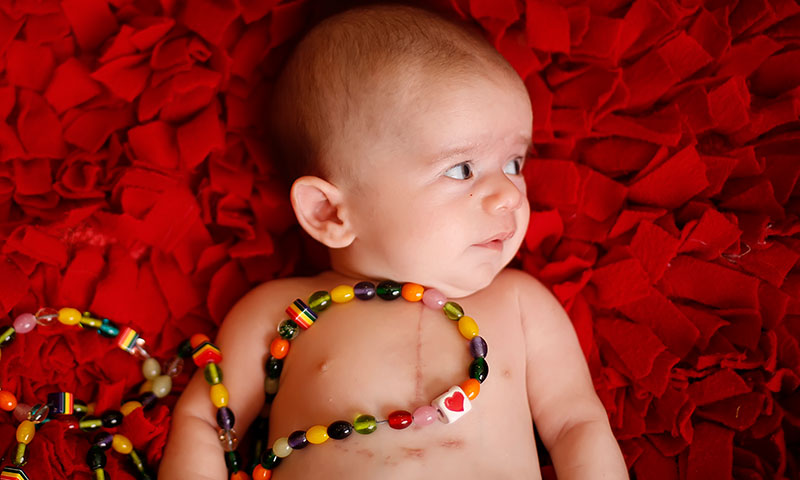 Main Content Intro Image