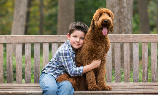 related content image