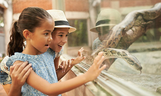 related content image