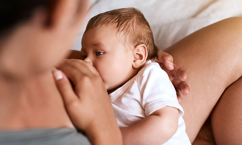 Main Content Intro Image