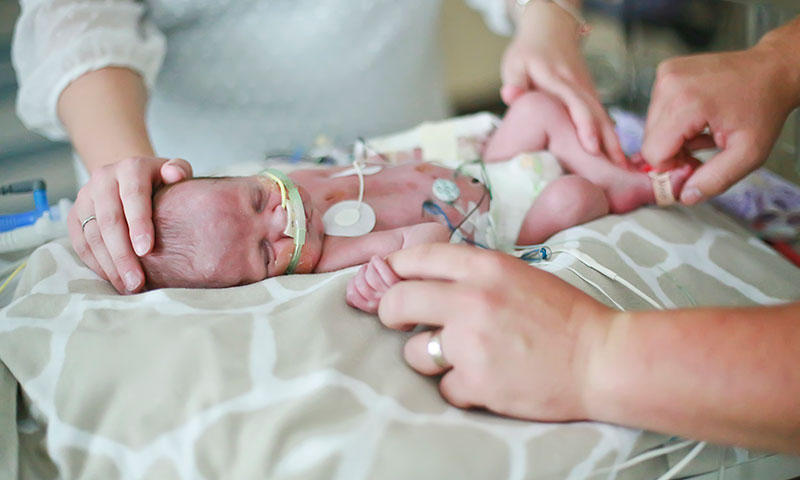 Main Content Intro Image