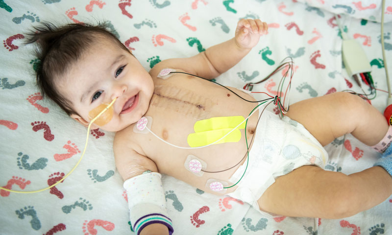 Main Content Intro Image