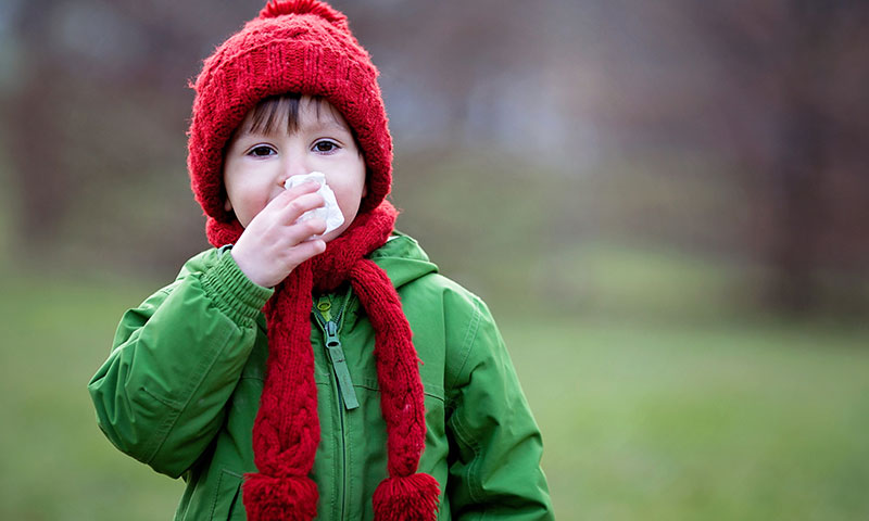 Main Content Intro Image